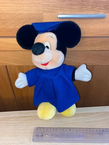 Peluche Mickey mouse Disney Disneyland Paris eurodisney diplôme étudiant baccalauréat graduation