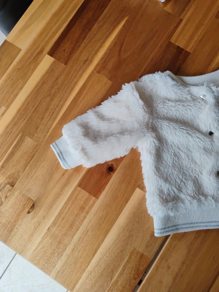 Veste - photo numéro 4