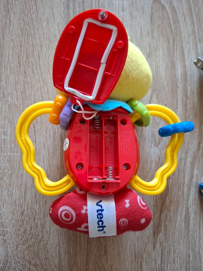 Poussin v tech - photo numéro 3