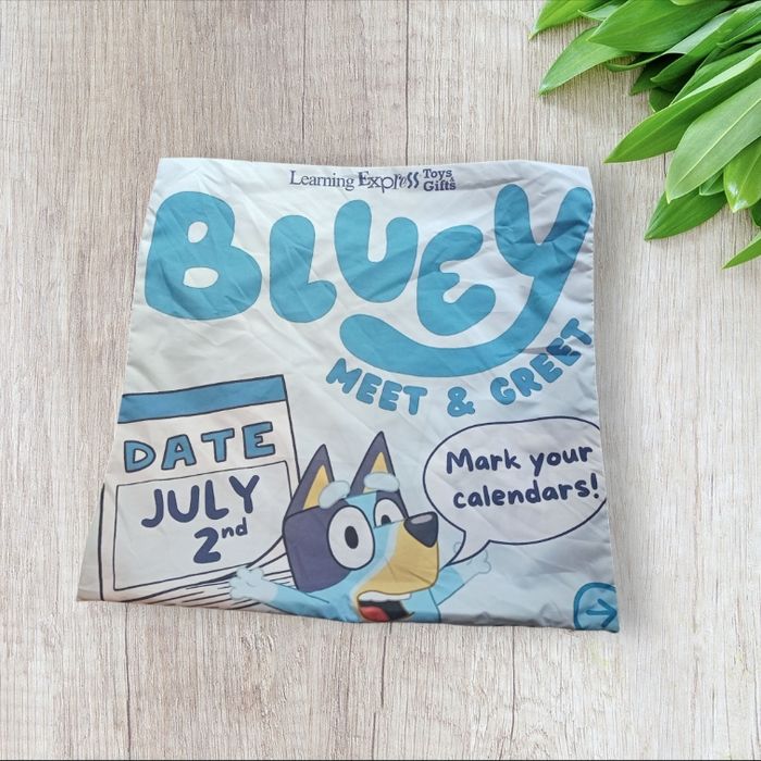 Housse de coussin bluey - photo numéro 2