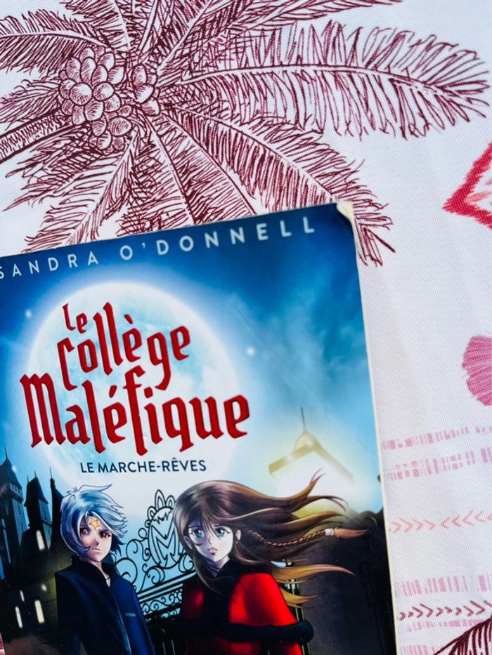 Roman le collège maléfique - photo numéro 2
