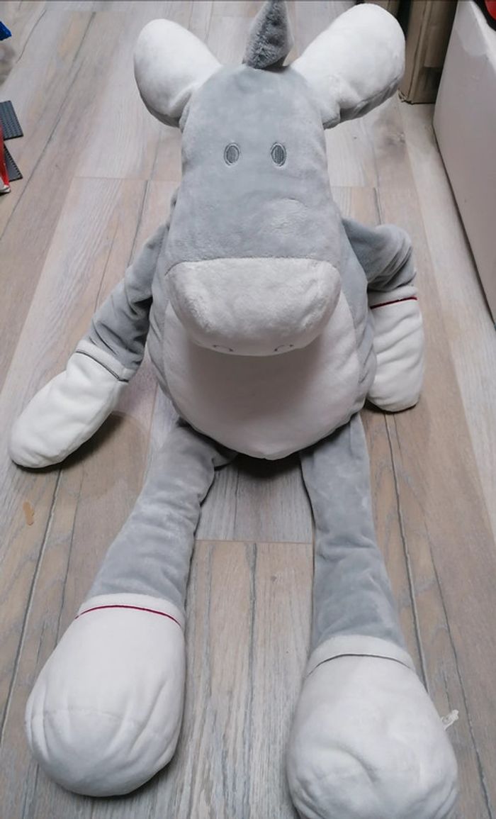 Paco 80cm - photo numéro 2