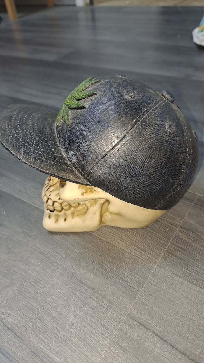 Déco tete de mort - photo numéro 2