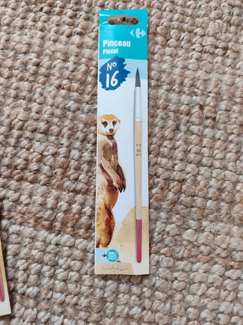 Pinceau n°16
