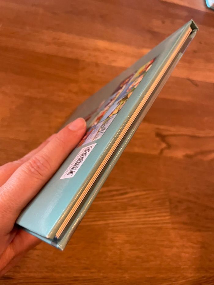 Livre Histoires de Cow-boys à lire avec mon petit garçon - photo numéro 6