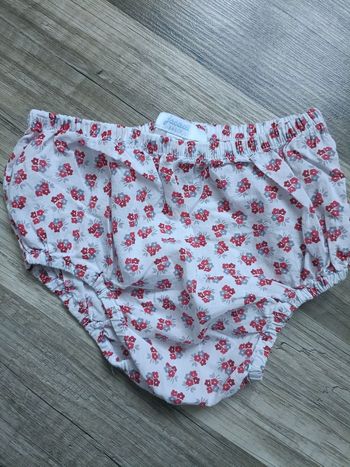 Culotte