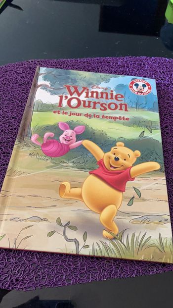 Livre Disney Winnie l ourson et le jour de la tempête