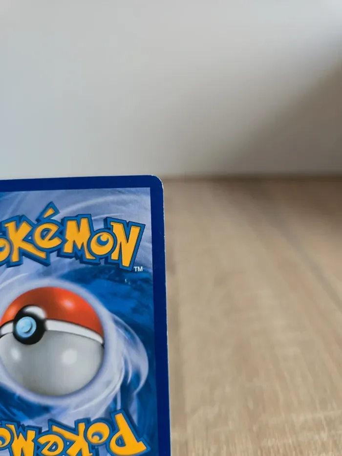 Lamantine 24/147 - photo numéro 8