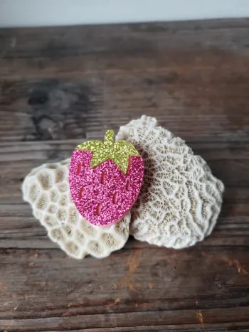 Magnifique broche framboise
