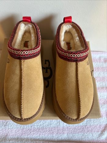 Sabot Tazz  UGG 