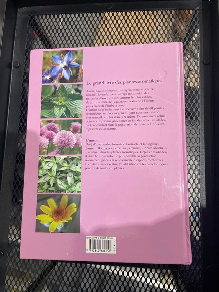 Le grand livre des plantes aromatiques - photo numéro 2
