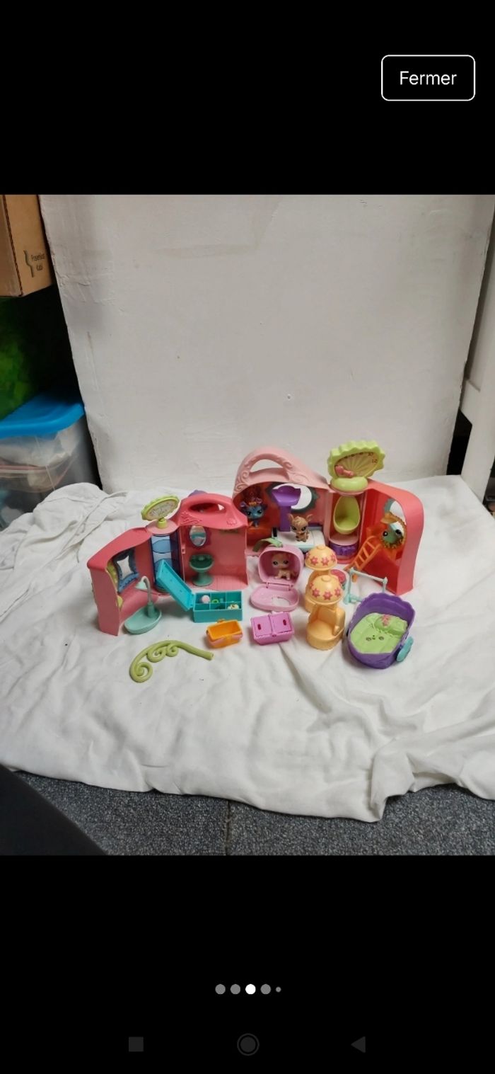 Pet shop - photo numéro 3