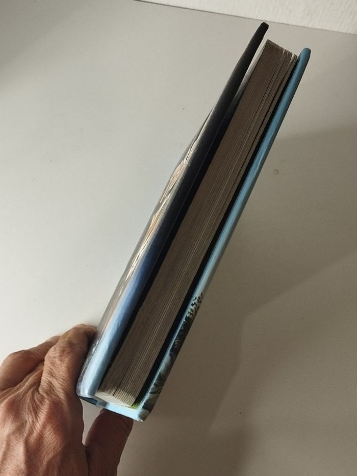 Livre enfant 3 5 ans regardez nous sommes tigres - photo numéro 4