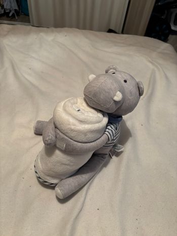 Peluche plaid / couverture