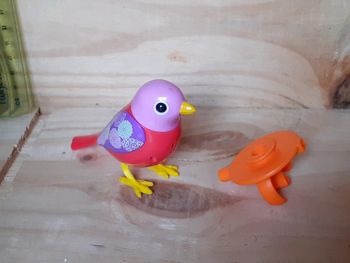 Digibird oiseau siffleur et sa bague
