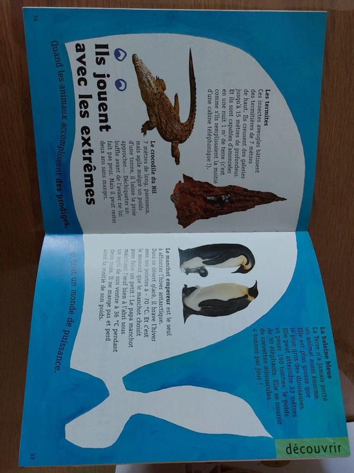 Livre drôles d'animaux - photo numéro 2