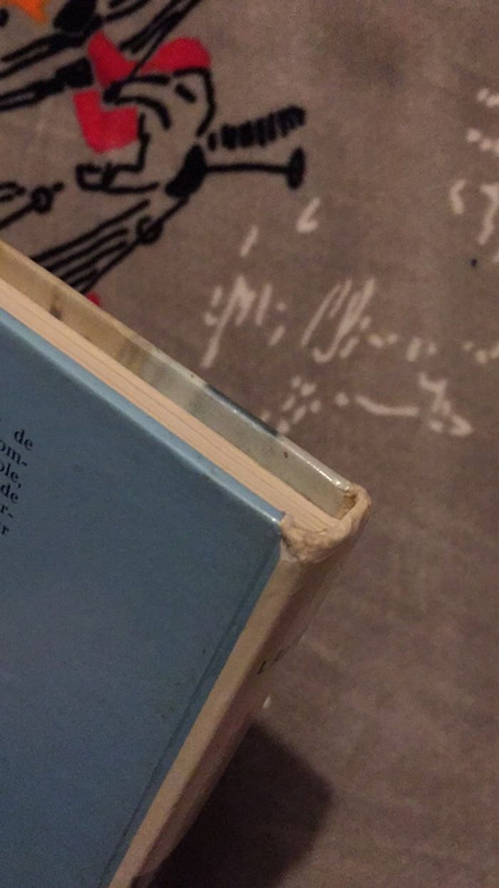 Dag et ses amis Bibliothèque de l’amitié I. Austveg - photo numéro 13