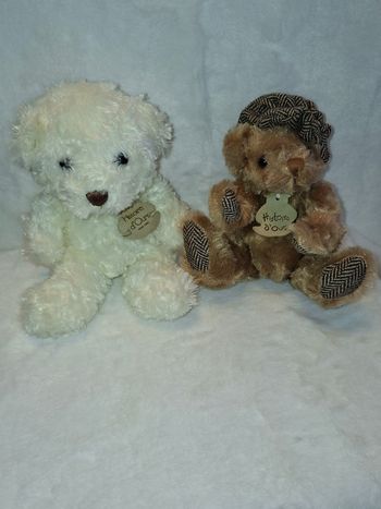 Doudous oursons Histoire d'ours blanc/marron
