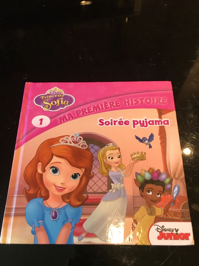 Livre Princesse Sofia Disney soirée pyjama