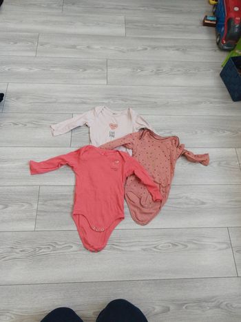 Lot 3 bodies 24 mois