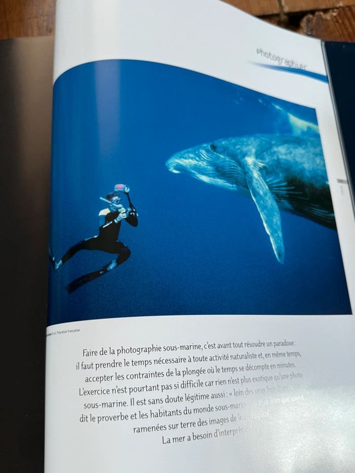 Grand beau livre Planète Mers Nicolas Hulot Laurent Ballesta Pierre Descamp Michel Lafon - photo numéro 12