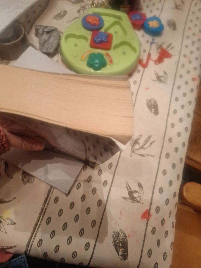 Le journal d'un vampire tome 2 - photo numéro 5