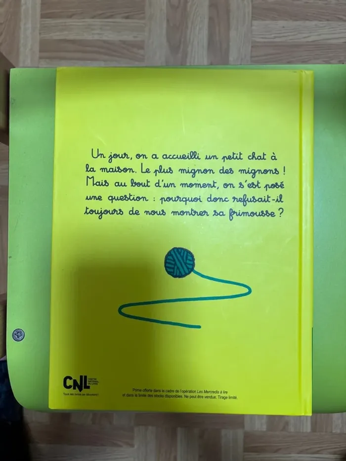 Le chat le plus mignon du monde - photo numéro 2