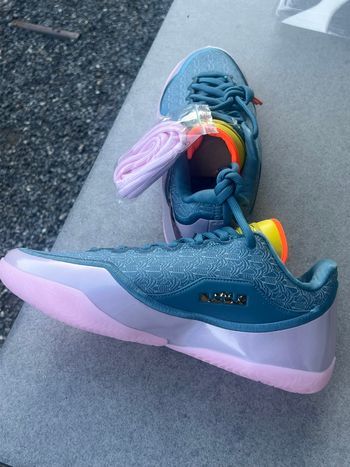 Nike lebron miami vice