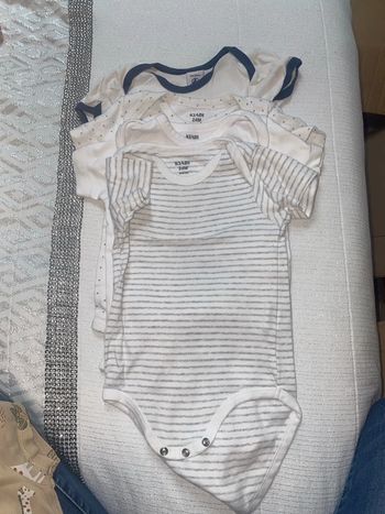Lot body
