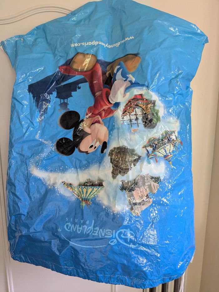 Robe - déguisement Belle et la bête Disneyland Paris - photo numéro 6