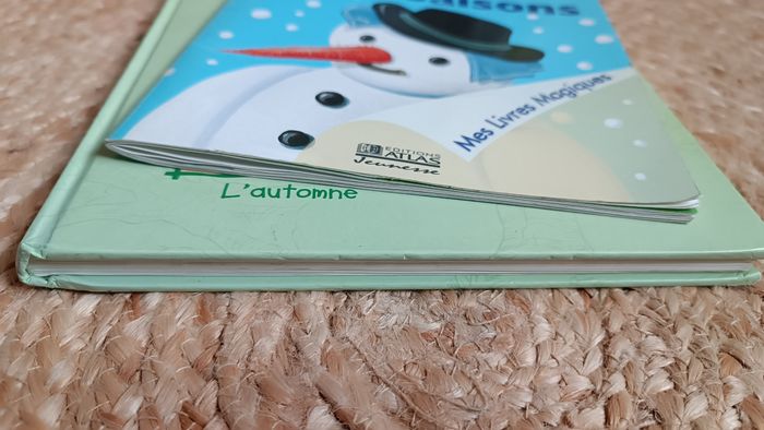 Lot de 2 livres éducatifs sur les saisons - photo numéro 3