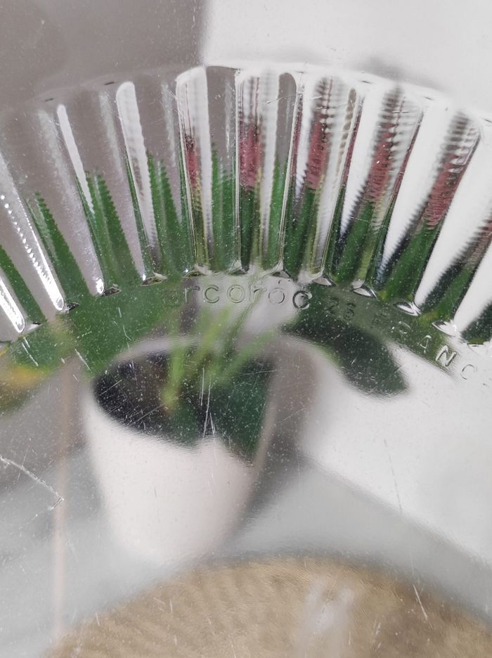 Plat de présentation en verre arcoroc - photo numéro 4