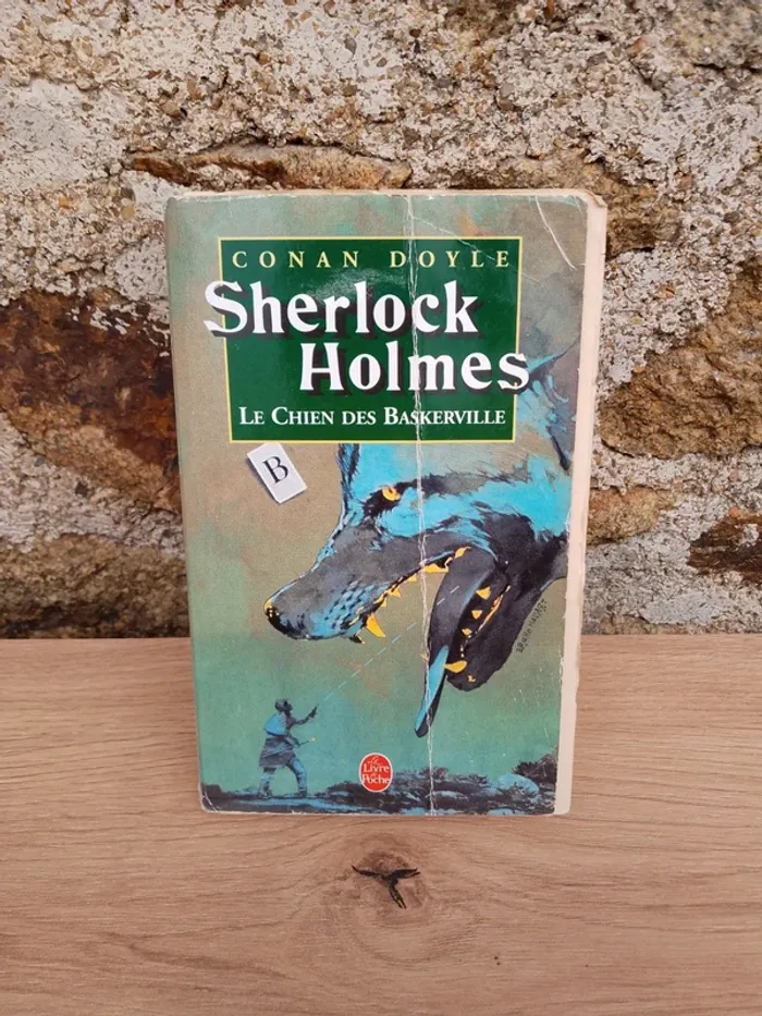 Livre Le chien des Baskerville
