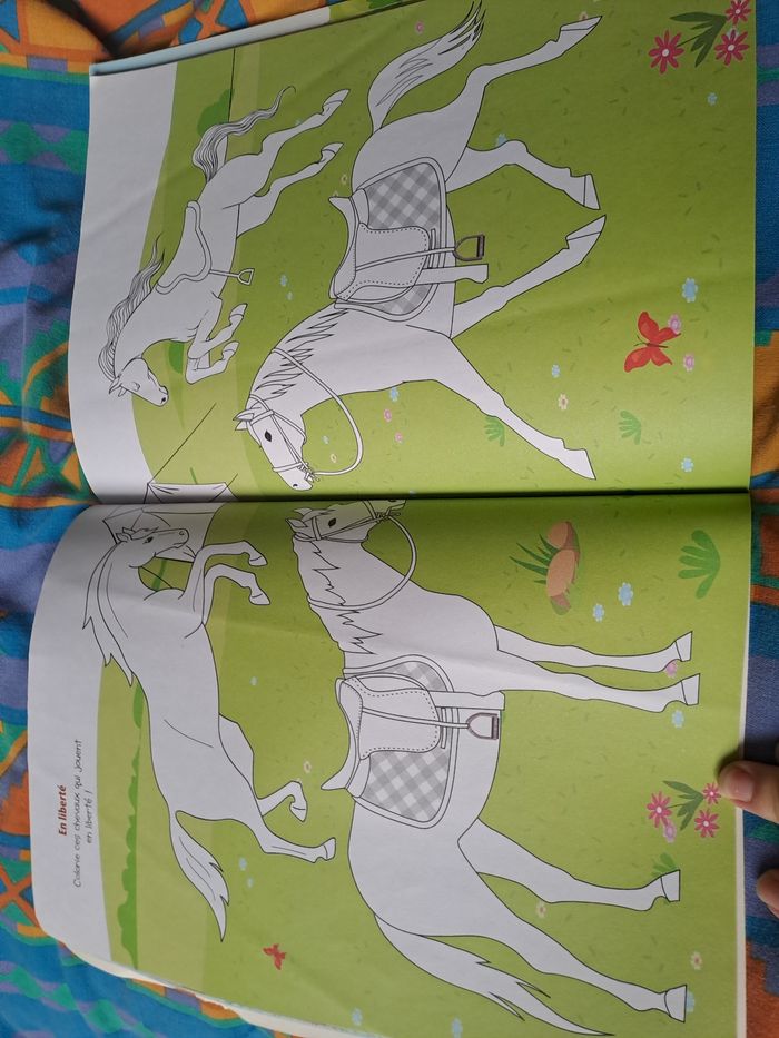 Coloriage tout l'univers des chevaux NEUFlivre de coloriage neuf. - photo numéro 2