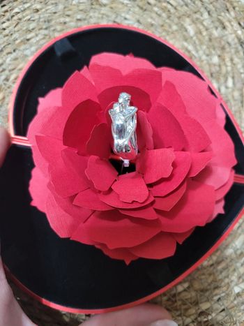 Bague couple St Valentin acier. T52