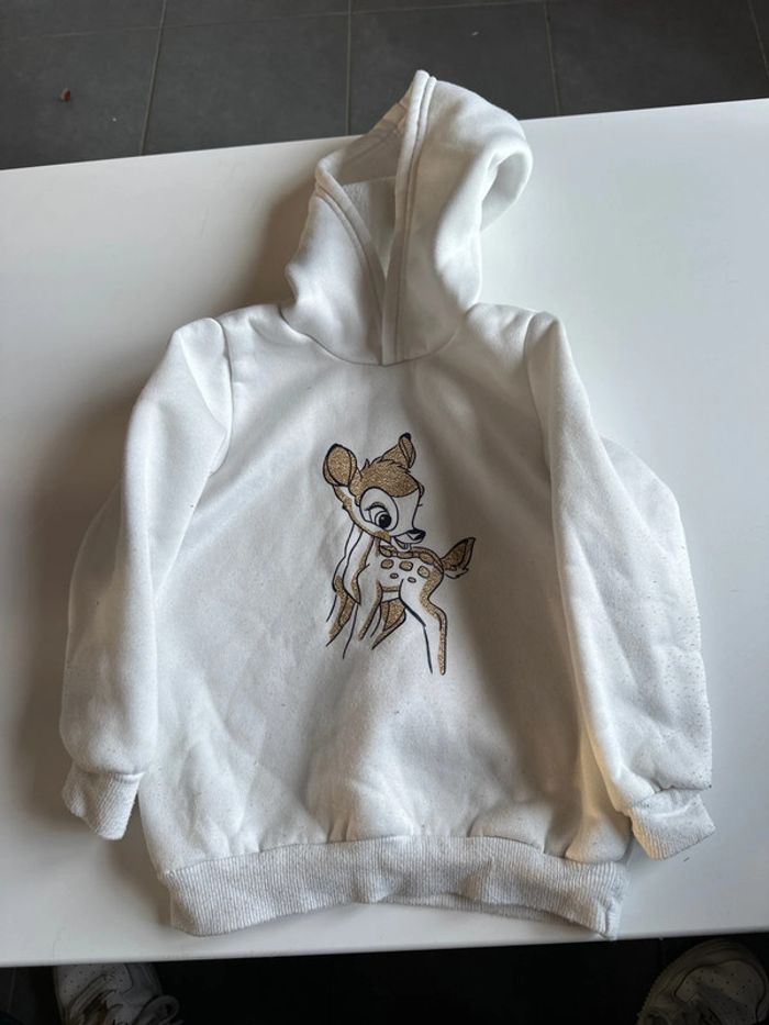 Sheat capuche 3-4 ans