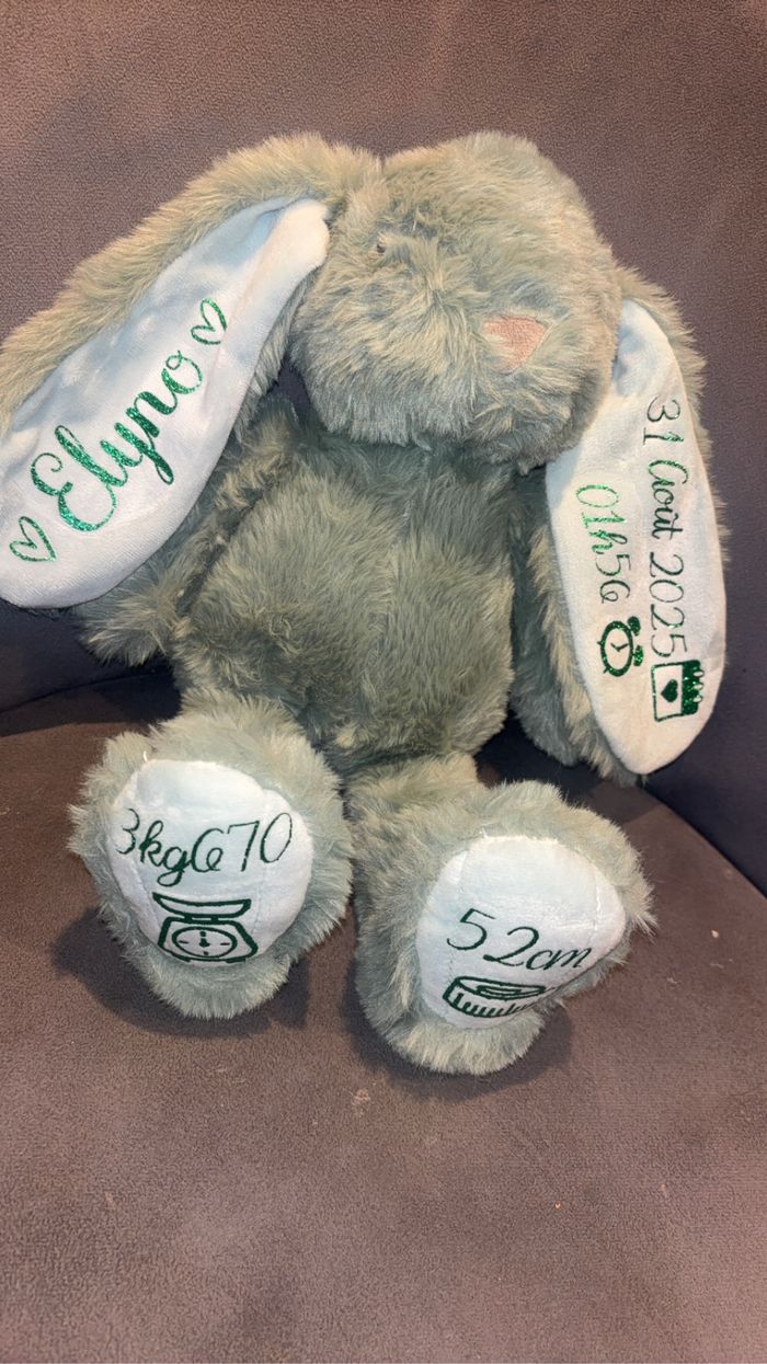 Lapin de naissance - photo numéro 2