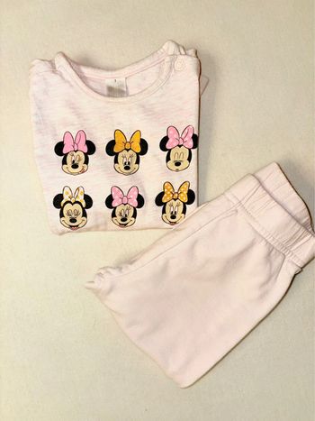 Ensemble Disney mini rose