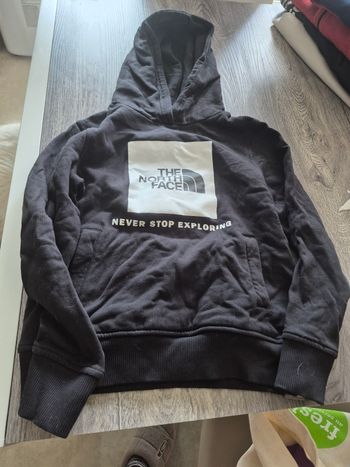 Pull the north face