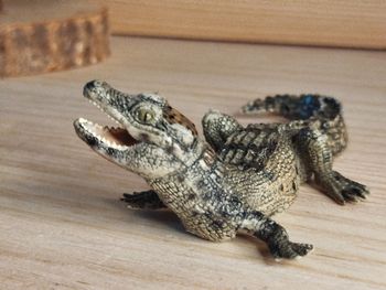 PAPO caïman Figurine animal de la savane