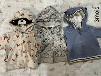 Vestes à capuches