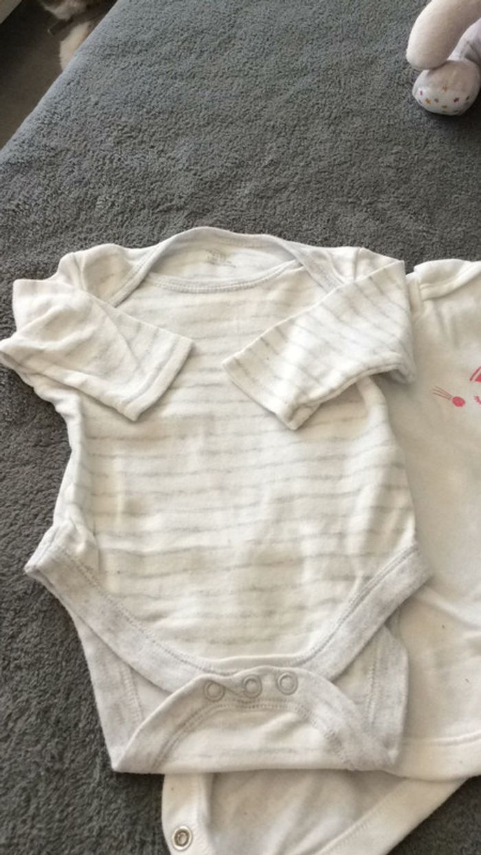 Lot 2 bodies - photo numéro 2