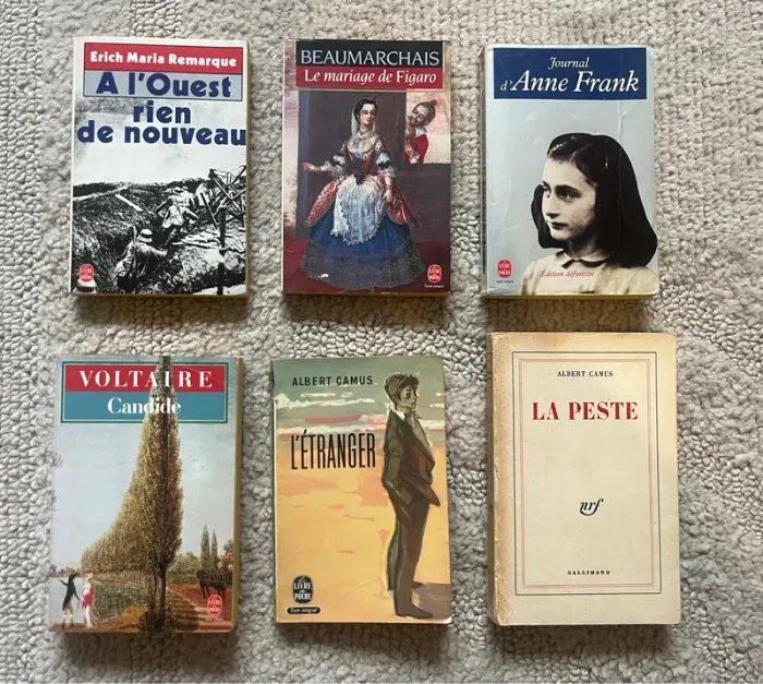 Collection de 18 livres littérature Française - photo numéro 7
