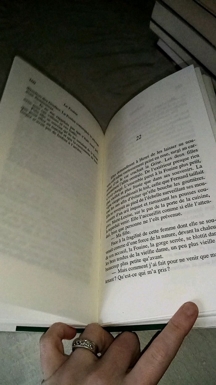 La fouine - photo numéro 4