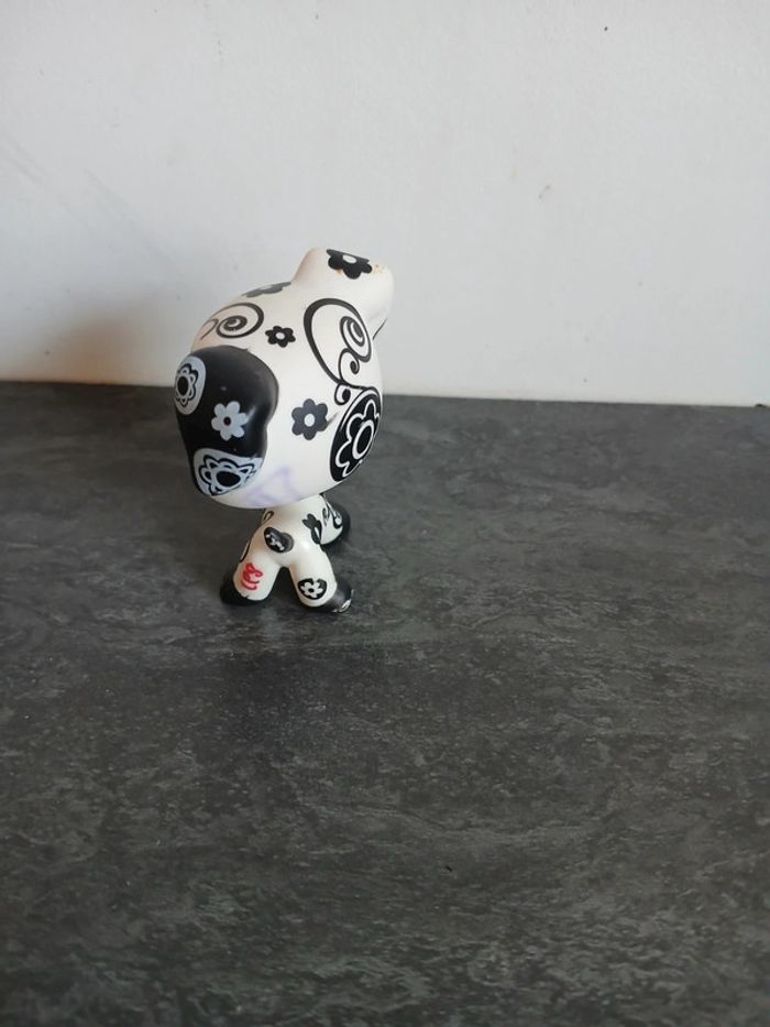 Petshop Dalmatien - photo numéro 2