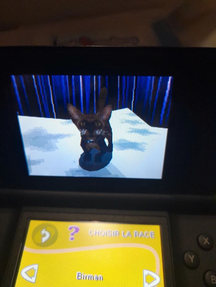 Cats Academy Nintendo DS - photo numéro 14