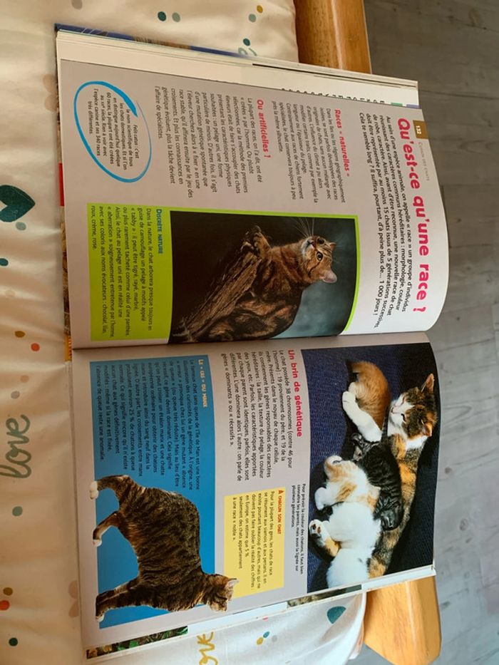 Livre Copain des Chats - photo numéro 3