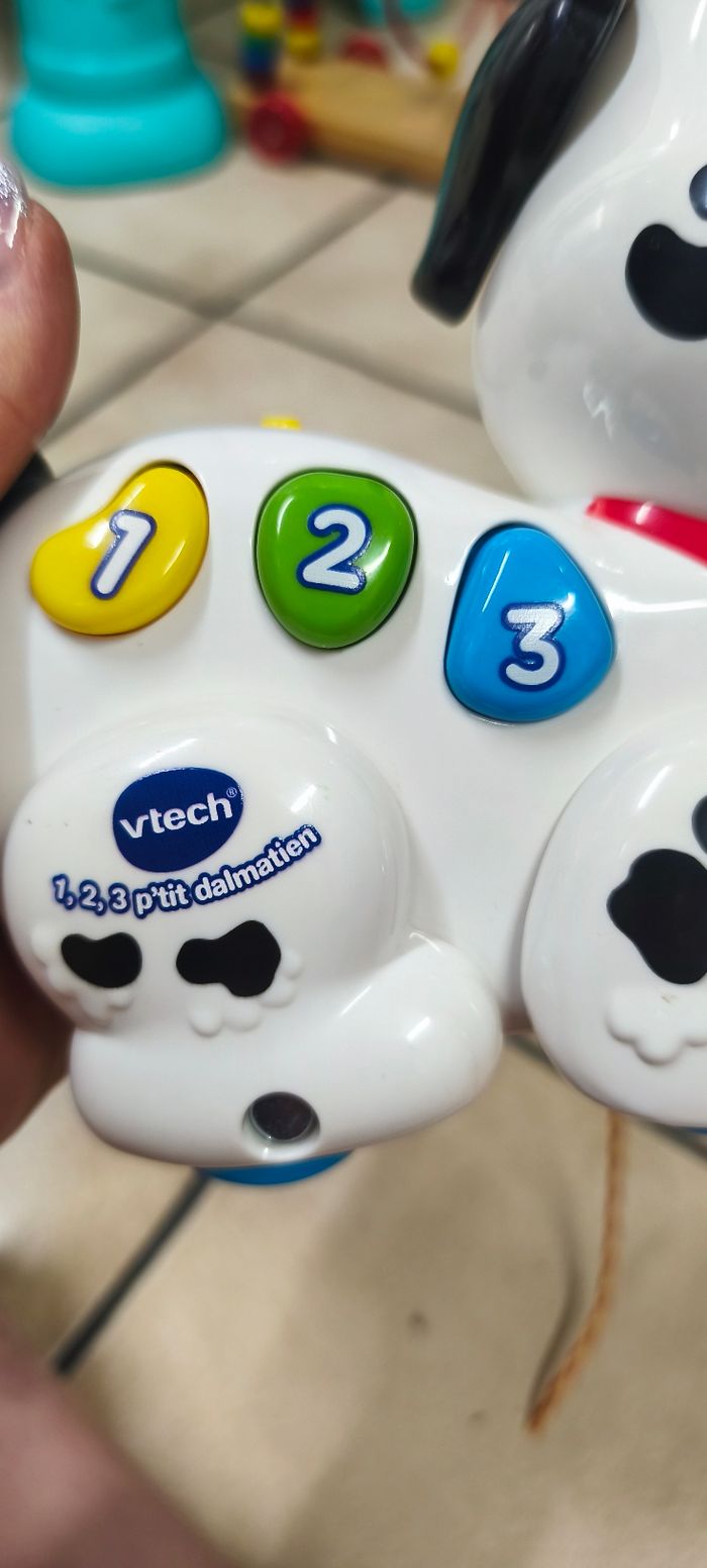 Chien a tirer - photo numéro 8