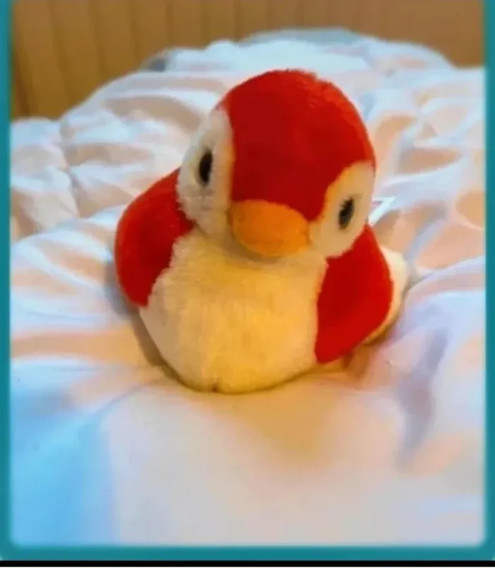 Oiseau