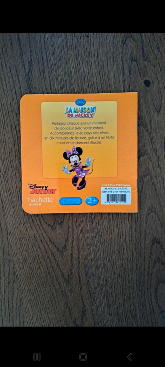 Livre mickey - photo numéro 2